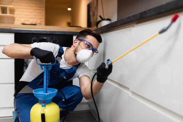 Best Pest Control Near Me  in Ruskin, FL
