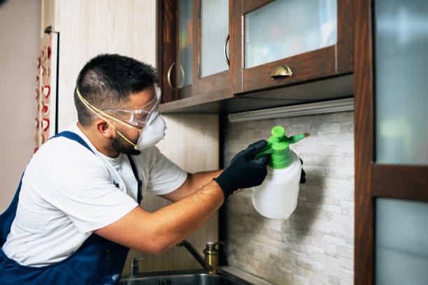 Best Termite Control Services  in Ruskin, FL