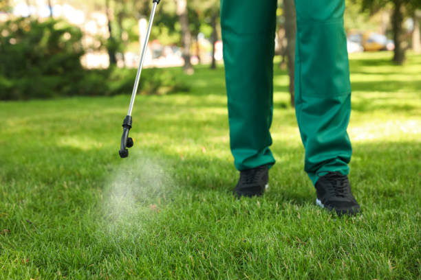 Best Insect Control  in Ruskin, FL