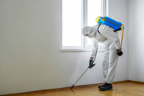 Best Pest Inspection Near Me  in Ruskin, FL