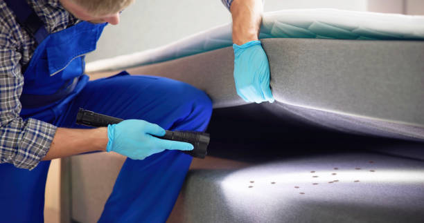 Best Affordable Pest Control Services  in Ruskin, FL