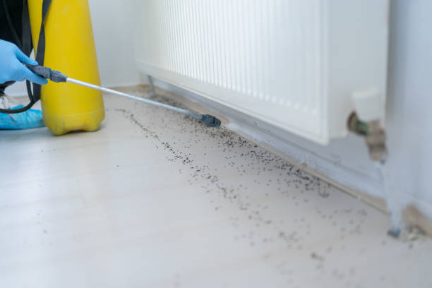 Best Mosquito Control Services  in Ruskin, FL
