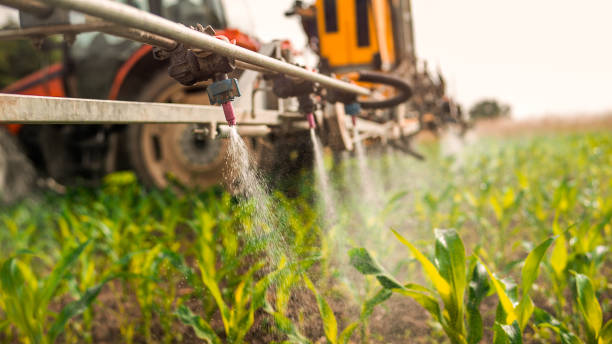 Professional Pest Control in Ruskin, FL